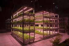 현대건설 H 클린팜, 단지 內 친환경 먹거리 생산단지