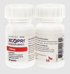 SK바이오팜, 美신경학회서 뇌전증 치료제 효능 발표