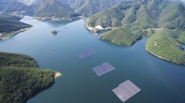 [단독] 포스코·LS일렉트릭, 수상 태양광 시장 출사표