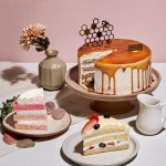 뚜레쥬르, 美 버지니아주 한인마트 롯데플라자에 출점