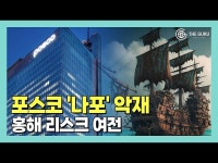 [영상] 포스코 나포 악재…홍해 리스크 여전