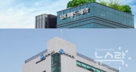 유니메드제약·유유제약, 백내장 보조·골다공증 주사제 등 판매중지···식약처 오염 가능성↑