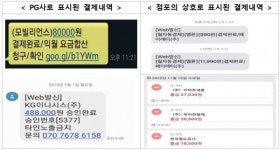 KSNET-N루멘페이먼츠 | "어디서 긁었더라?"...이젠 카드 결제내역에 '실제 구매 업체' 표시