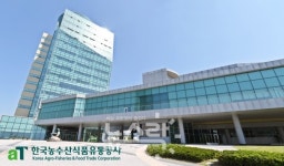 한국농수산식품유통공사, 태국에 홍보한 김치 알고보니 중국산…전수조사 진행 중