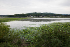 [저수지이야기]《1》1박도 좋다면 화성 보통리 저수지