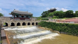 [모바일Angle] 수원에서 1년에 딱 한번만 볼수 있는···