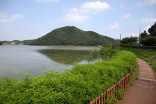 [저수지이야기]《7》5천세대 아파트 숲의 침범 반월호수