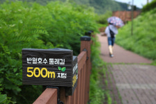 [저수지이야기]《7》5천세대 아파트 숲의 침범 반월호수