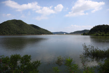 [저수지이야기]《7》5천세대 아파트 숲의 침범 반월호수