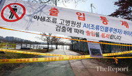 [포토] 경기도 6곳의 가금농장과 하천변 16곳 AI 항원 검출