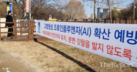 [포토] 경기도 6곳의 가금농장과 하천변 16곳 AI 항원 검출