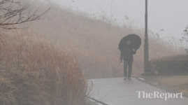 [포토] 겨울비에 짙은 안개