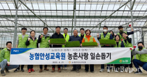 농협 안성교육원, 봄철 농번기 육묘장 일손돕기