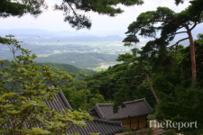 [반갑다! 문화재] (107)선산에 있는 신라 최초의 절 도리사