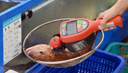 [포토] 일본, 방사능 오염수 24일 방류 발표