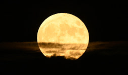 [포토] 놓치면 14년 후에 슈퍼 블루문