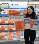 [포토]롯데마트, 항공 직송 칠레 파타고니아 연어