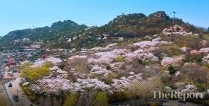 유달산 봄축제·목포해상W쇼·목포항구축제···목포로 오세요