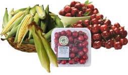 체리·초당옥수수·물회···이마트, 초여름 제철 먹거리 행사