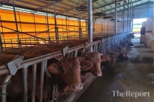 전남도, 한우 사료비 인상차액 125억 한시 지원