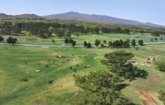 봄날의 천고마비