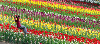 색동천 아닙니다