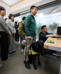 개·고양이 음식점 출입, 조건부 허용