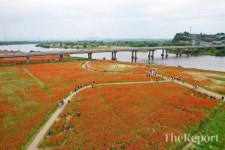 나주시, 맛과 멋의 향연···영산포 홍어·한우 축제 성료