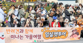 오수 의견 임실 펫투어