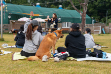 강아지랑 놀러올고양?