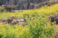 토요일 -4∼20도, 일요일 -1∼21도