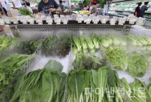 6월 생산자물가 0.2% 하락...석달째 내리막