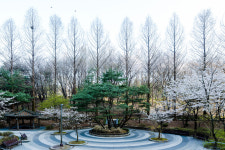 사진작가 안완철의 엄마까치야 파이팅!