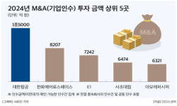올해 대기업 M&A 39%↓…대한항공-아시아나 인수 최대