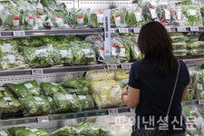 10월 소비자물가 2.4% 상승 ... 개인서비스 오름폭 확대