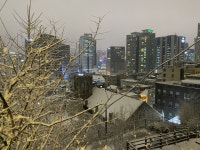 [포토] 첫눈이 소복히 쌓인 서울 남산길…폭설에 교통 정체도