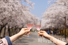 이랜드파크 켄싱턴호텔앤리조트, 지역별 봄꽃 명소 연계 기획전