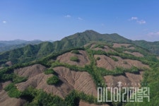 충주국유림관리소, 친환경 벌채 사업 완료