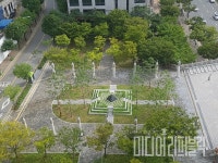 가로수, 효율적으로 조성하고 체계적으로 관리한다