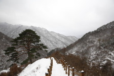 그 겨울의 지리산 뱀사골 와운명품마을 [칼럼]