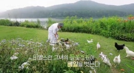 다큐인사이트 안홍선 씨 들꽃정원 코로나시대 정원 각광