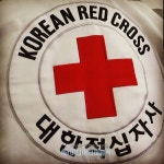 대한적십자사, 근대 인도주의의 바이블, 청소년용 도서 솔페리노의 회상 재발간