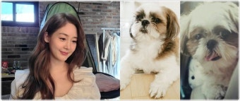 성유리, 먼저떠난 반려견에 대한 그리움