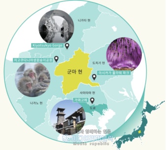 日, 군마현 , 또 코로나19 감염자 1인 사망