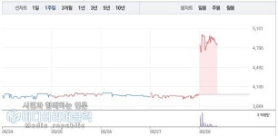 (주)그린하우스 대림통상 | 대림통상, 5월 28일 코스피 VI 변동성 상승 특징주