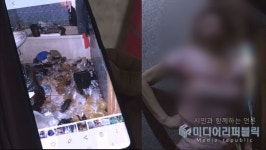 모텔 쓰레기방에 10년째 살고 있는 할머니 도 넘은 사연은? [궁금한 이야기 Y]