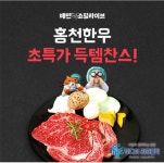 배민쇼핑라이브 홍천한우 OOO  캐시워크 돈버는퀴즈 정답 실시간 공개 [캐시톡톡]