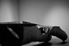 정창이 작가 초대전 MASS_이종결합