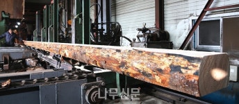 더글라스퍼 한옥재, 우리가 가장 많이 하고 있다고 자부한다