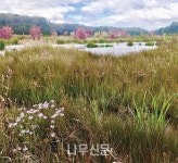 생태적 복원사업을 위한 국제 표준 및 원리
